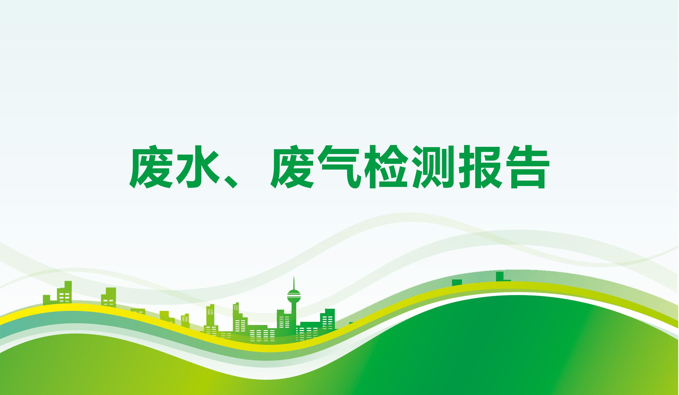 废水、废气检测报告-海一